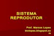 Fisiologia humana   sistema reprodutor
