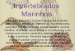 Invertebrados marinhos 1o b