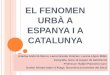 Tema 12 . El fenomen urbà a Espanya i Catalunya (lèxic). GEOGRAFIA. 2n BATXILLERAT