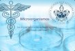 Microorganismos: La importancia de la Fagoterapia
