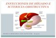 Infecciones de hígado e ictericia obstructiva