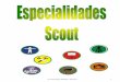 Listado de especialidades scout