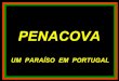 Penacova, um paraíso em portugal