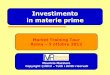 Investimento in materie prime   mtt roma