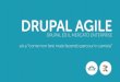 DDAY2014 - Agile Drupal: un caso reale di Drupal utilizzato nel mondo Agile