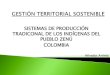 Presentación de Nilvadys Arrieta (Colombia) - Seminario Internacional Pueblos Indígenas