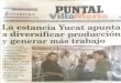 Noticias de Yucat