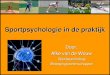 Sportpsychology in practice (Dutch)