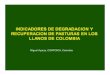 Indicadores de degradación y de recuperación de pasturas en los llanos de Colombia