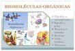 Biomoléculas orgánicas biologia