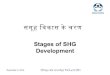 Stages of SHG Development