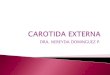 Carotida externa (1)