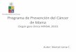 Programa de prevención del cáncer de mama (Chile)