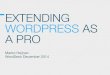 Extending WordPress as a pro