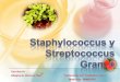 Staphylococcus y Streptococcus bn