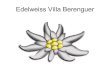 CV edelweiss
