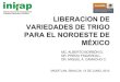 Liberacion de variedades de trigo para el Noroeste de Mexico