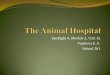 The animal hospital