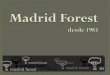 Venta e instalción de tarimas de madera, corcho y bambú- Madrid Forest S.A