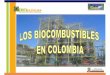 Bicombustibles colombia