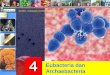 Buku x bab 4 (Eubacteria dan Archaebacteria)