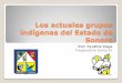 Los actuales grupos indígenas del Estado de Sonora