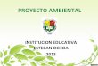 Presentacion proyecto ambiental 2013