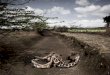 Scarcity and Waste -The 2015 Syngenta Photography Award