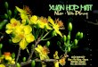 Xuan Hop Mat  - Van Phung - hop ca - BP.pps