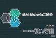 IBM Bluemix紹介