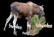 Countries from a to z schweden part i
