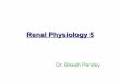 Renal physiology 5