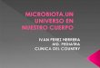 Microbiota,disbiosis y bacillus clausii