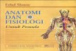Anatomi dan Fisiologi Manusia (pemula)