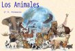 Los animales (2º primaria)