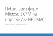 Microsoft CRM Portal Development