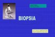 Biopsia y citologia