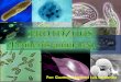 Protozoos, protozos, enfermedades, taxonomía