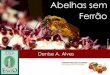 Denise Arajo Alves - Abelhas Sem Ferr£o