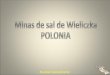 MINA DE SAL DE POLONIA - Wieliczka