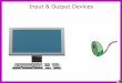 Input & output devices