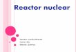 Reactor nuclear quimica