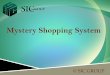 Mystery shopping system sic group