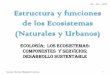 Estructura y funciones de los ecosistemas