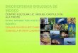 Biodiversidad biologica de mexico