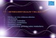 T11 - Metabolismo celular y del ser vivo