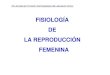 4.  fisiologia reproduccion femenina