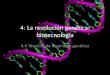 Tema 4: La revolución genética: biotecnología