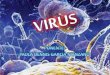 Virus generalidades