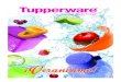 Tupperware C02
